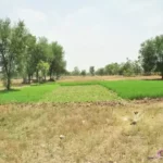 Strike-Zone-Investments-buying-Texas-land-fast-for-cash