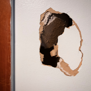 Damage Resulting from Tenant In New York
