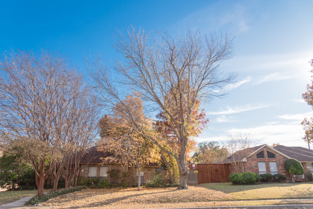 Home for sale in Dallas-Fort Worth