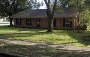 Top Real Estate Agent in Houston