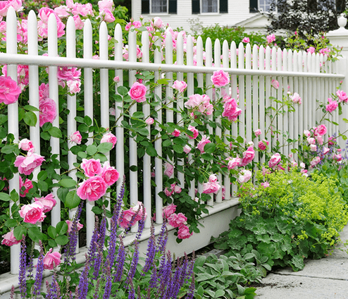 We Buy Houses in Winter Garden and pay cash for houses in Florida