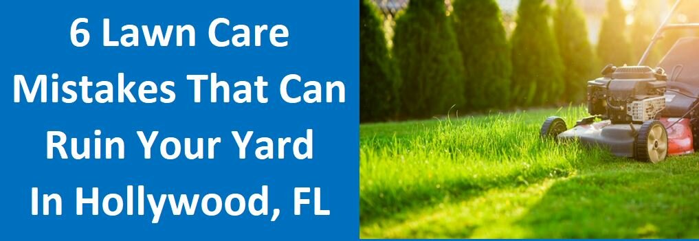 6 Lawn Care Mistakes That Can Ruin Your Yard in Hollywood, FL