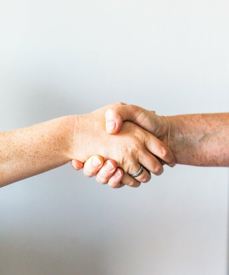 shaking hands on agreement