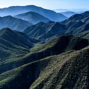 Free Experiences Los Angeles