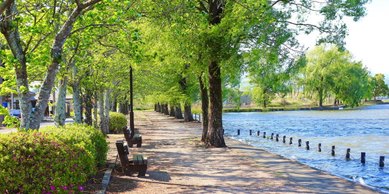 a great place to live