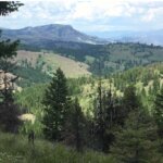 Sell Your Vacant WA Land The Hassle-Free Way