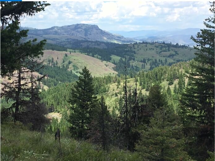 Sell Your Vacant WA Land The Hassle-Free Way