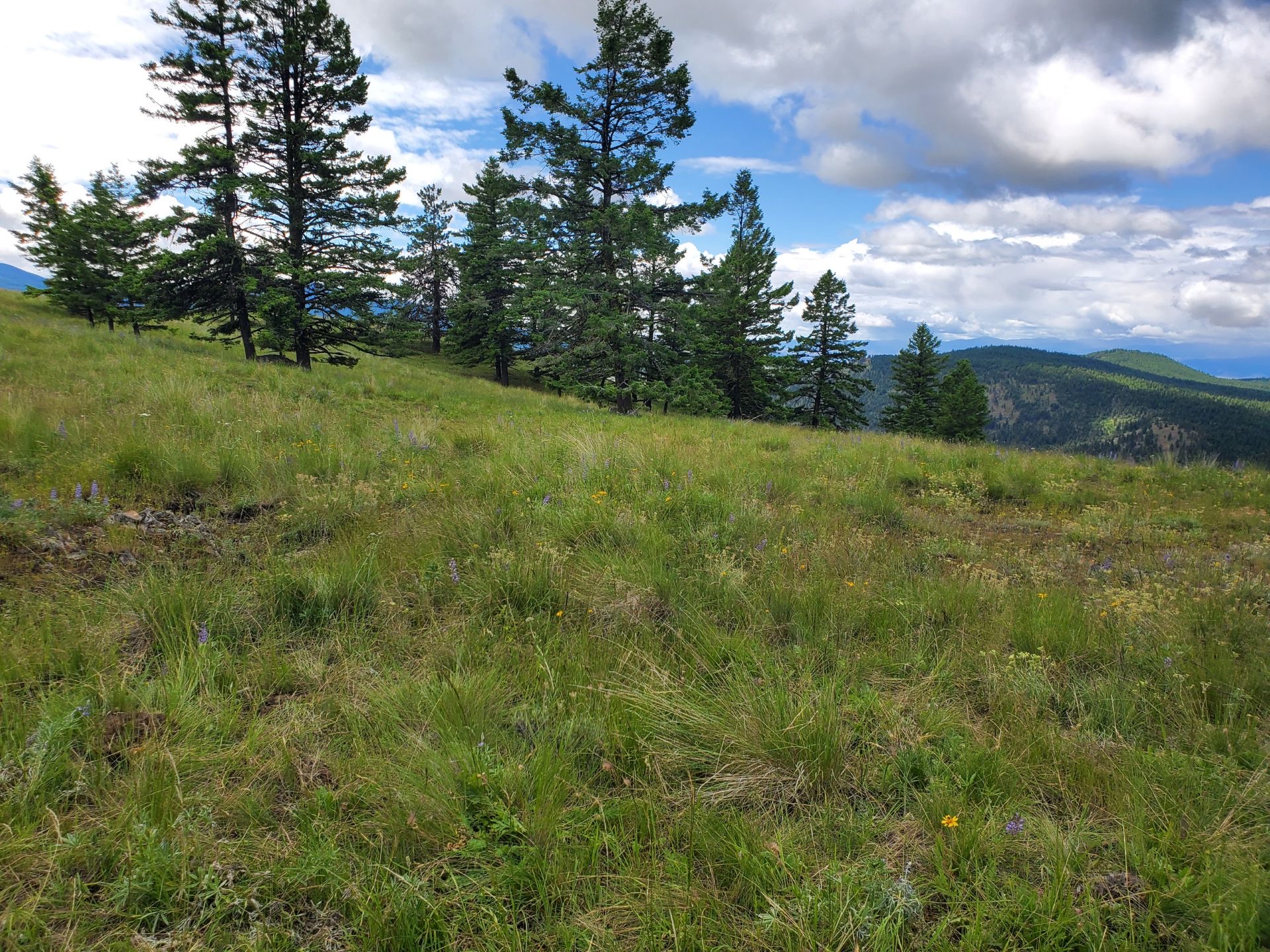 Sell An Inherited House in Tonasket TB Properties Buys Land