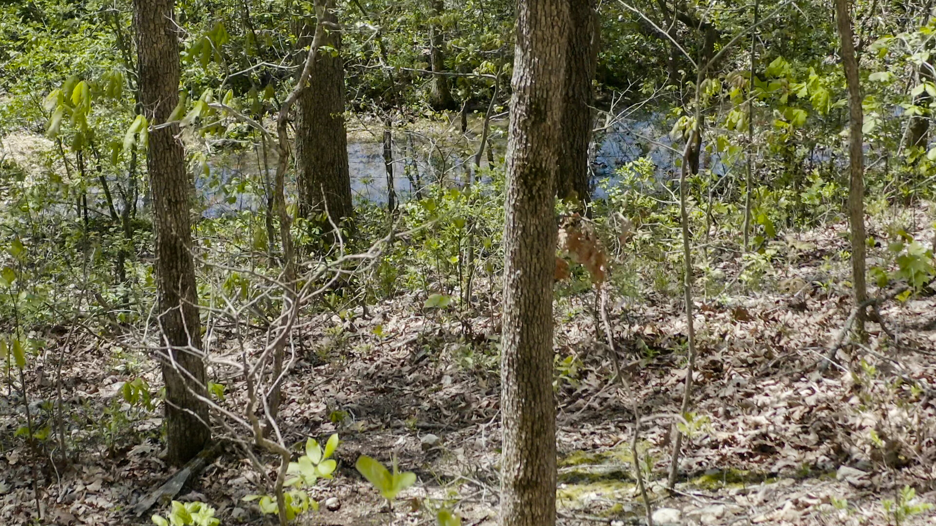 What are the Hidden Costs of Owning Vacant Land In Bowie County, TX