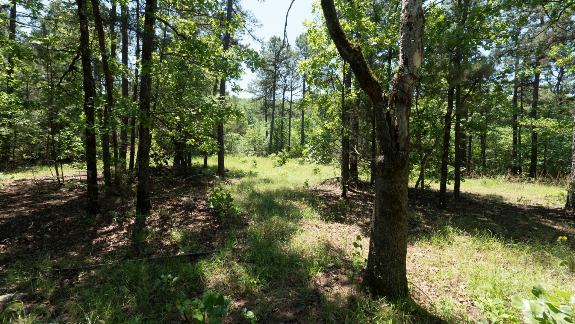 Selling Land To a Hardin County Investor TB Properties Buys Land