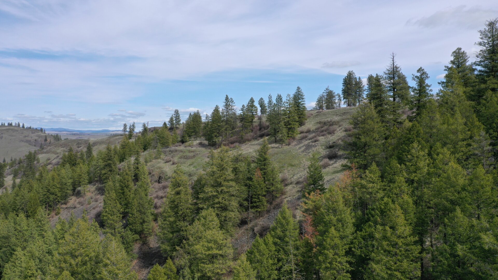 How Long Selling Your House In Phillips County Will Take