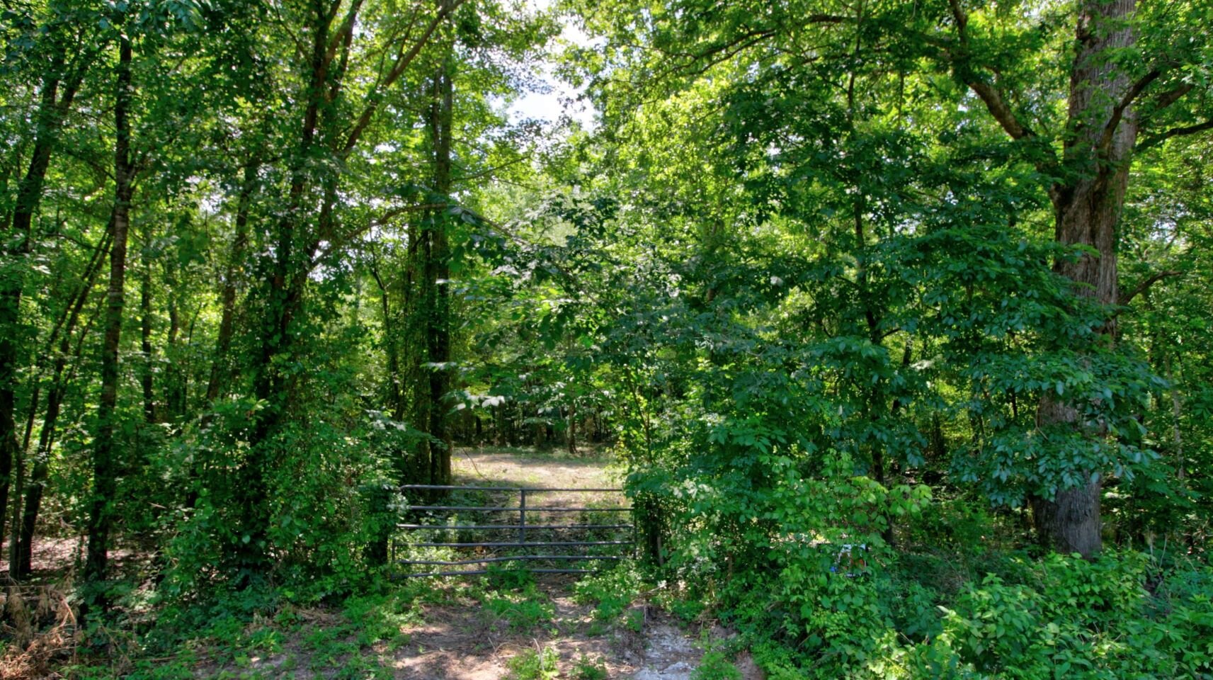 How to Sell Vacant Land Yourself In Bowie County, TX TB Properties