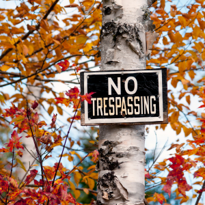 Squatter Rights Explained Washington