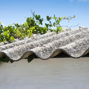 Is Selling With Asbestos Legal Washington