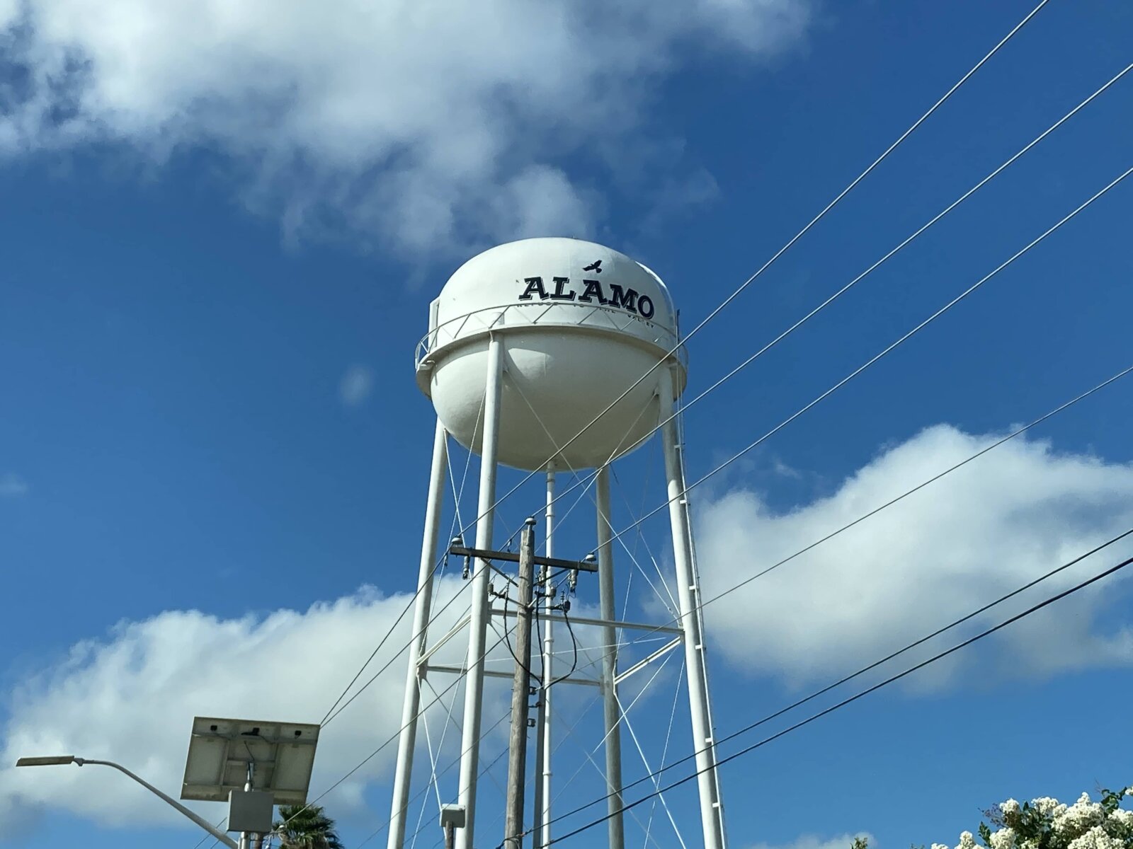 Alamo water tower