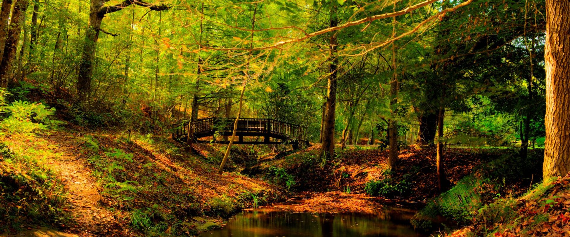 sell house fast Carroll county ga