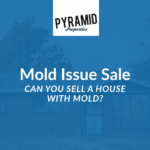 Can You Sell a House With Mold
