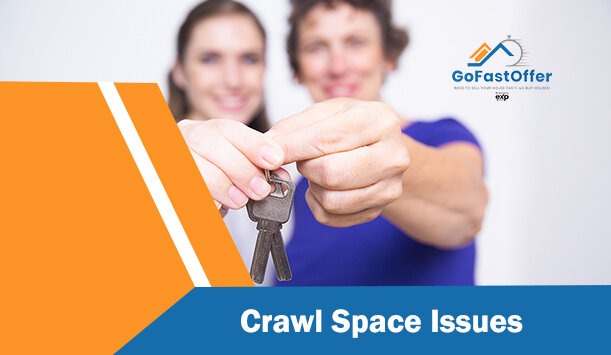 Crawl Space Issues