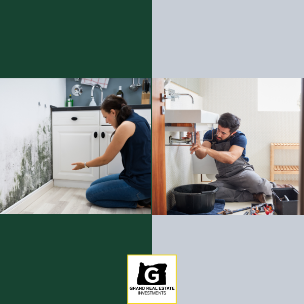How to Find and Fix Water Damage in Houses Oregon