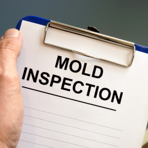 Dealing with Mold When Selling Your Home Oregon