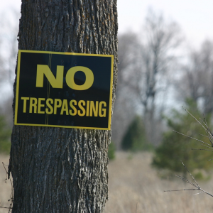 Understanding Squatters Rights Oregon