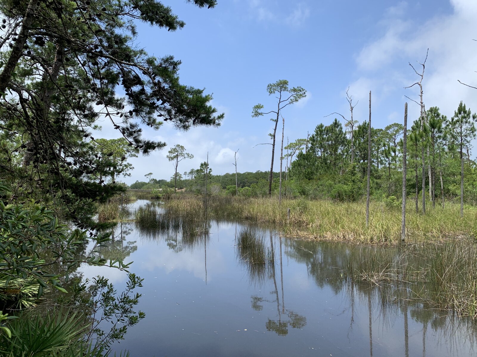 We buy houses in Navarre