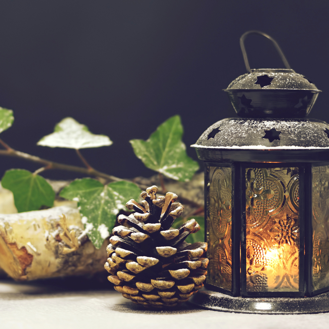 Pinecone, ivy, branch, and lit lantern arranged on table top