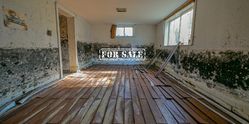 How to Sell a House With Mold Cleveland