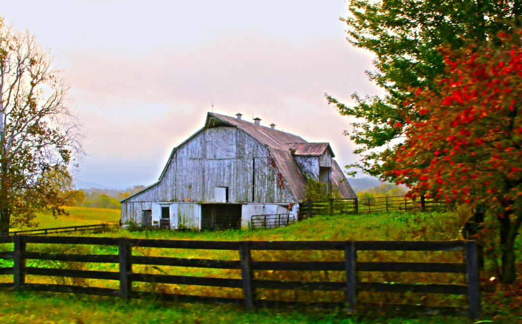 sell my kentucky house with fire damages