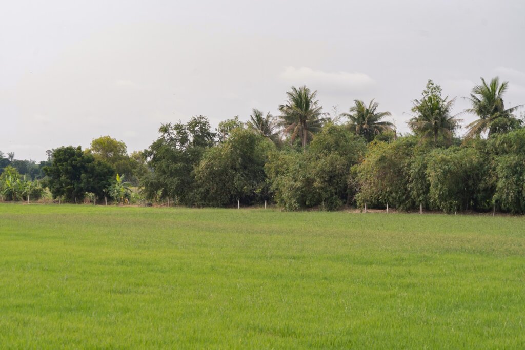 How Big Is 3 Acres Of Land