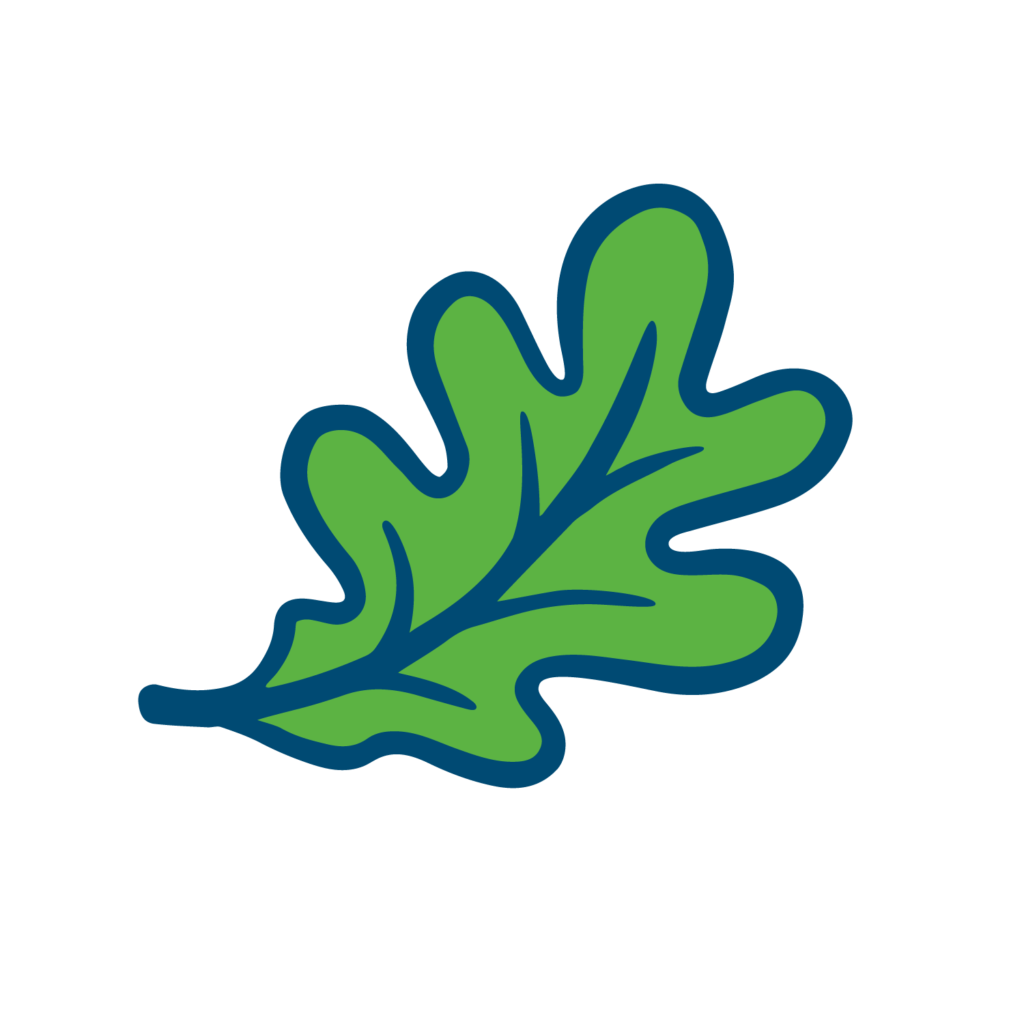 Oak Summit Group logo