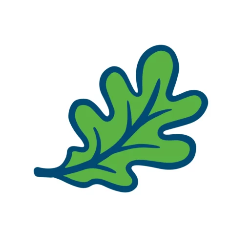 Illustration of a vibrant green oak leaf, representing nature and eco-conscious branding for house buyers in Dallas, TX.