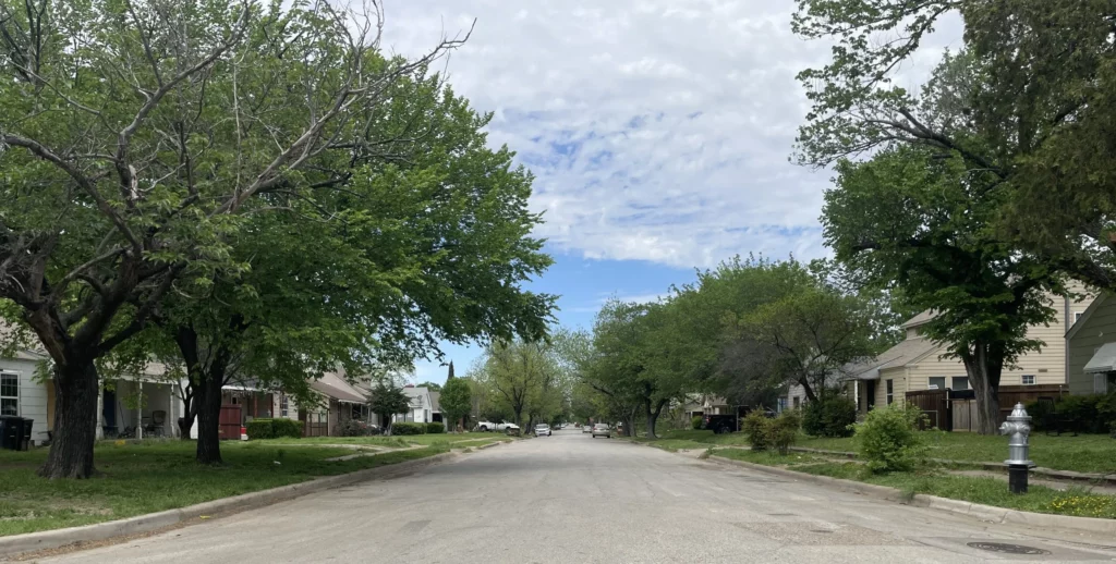 quiet residential neighborhood street with houses and trees