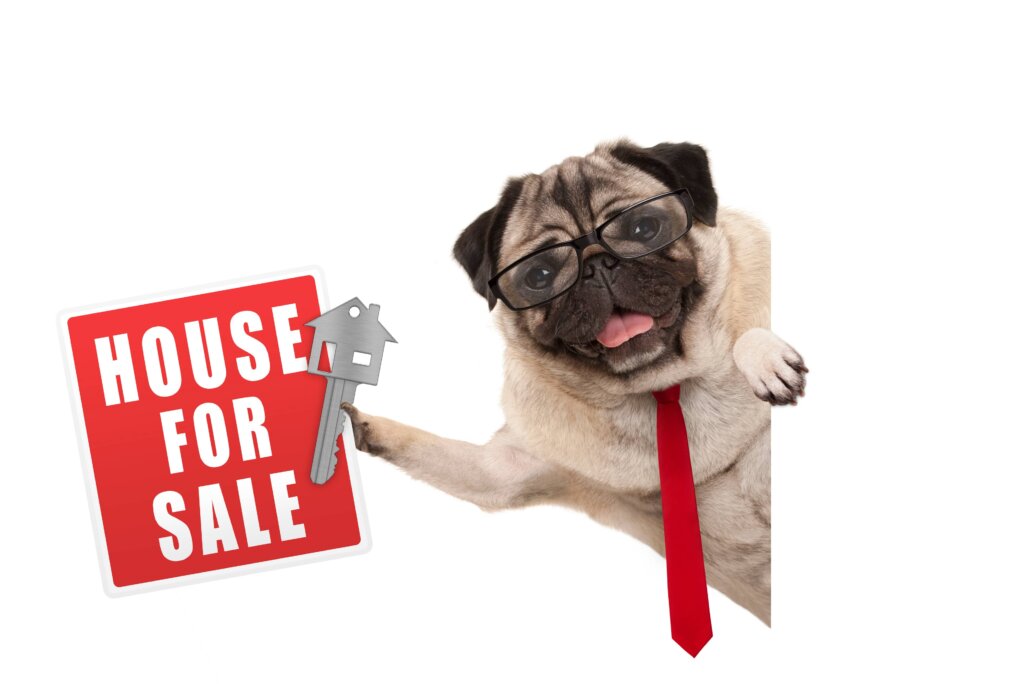 listing-fsbo-to-sell-your-house-in-new-jersey-dog-with-sign