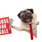 listing-fsbo-to-sell-your-house-in-new-jersey-dog-with-sign