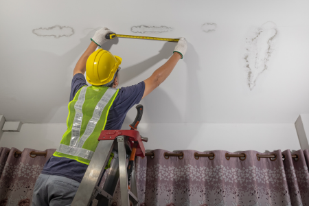 Dealing With Mold in your house Texas