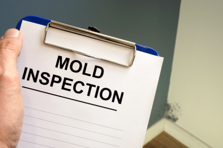 Evaluating Mold Damage On Texas House