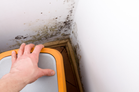 What You Need To Know About Selling A Texas House With Mold