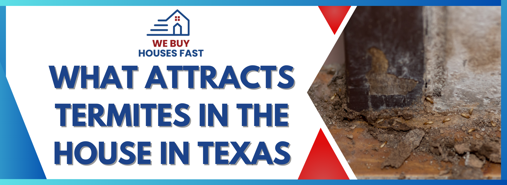 What Leads to Termites in the House Texas