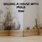 How to Sell a Texas House with Mold