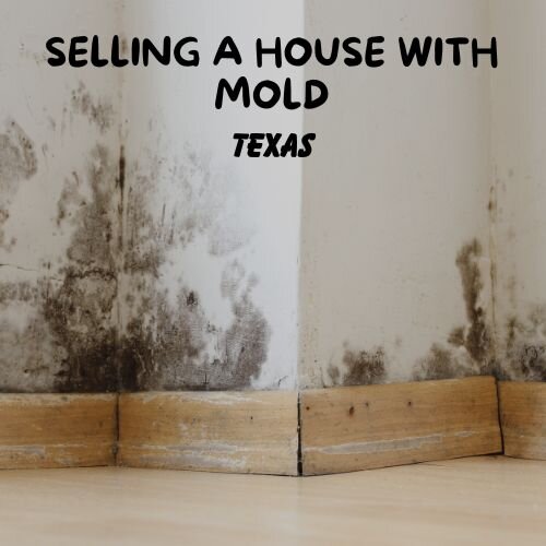 How to Sell a Texas House with Mold