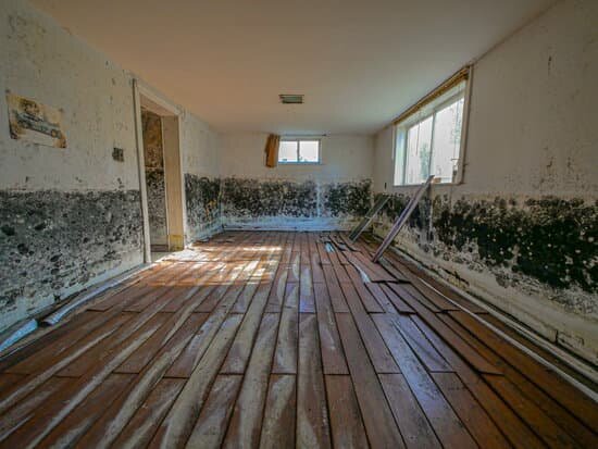 Sell a Mold-Damaged House Fast in Texas