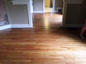 hardwood floors 