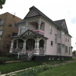 Painted Lady
