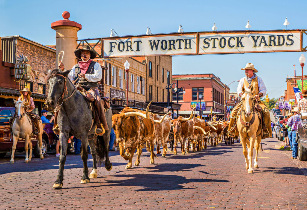 dallas fort worth realtors DFW real estate agent