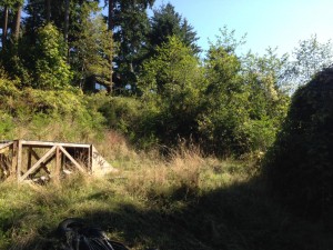 vacant lot 1