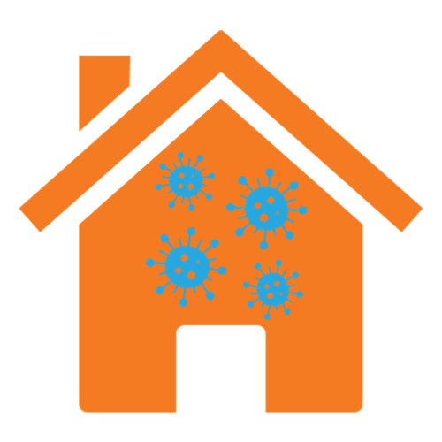 selling house with mold