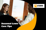 Seasonal Lawn Care Tips to Sell Your House Fast