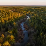 Texas vacant land for sale to direct cash buyer — east Texas pine, hill country, panhandle acreage