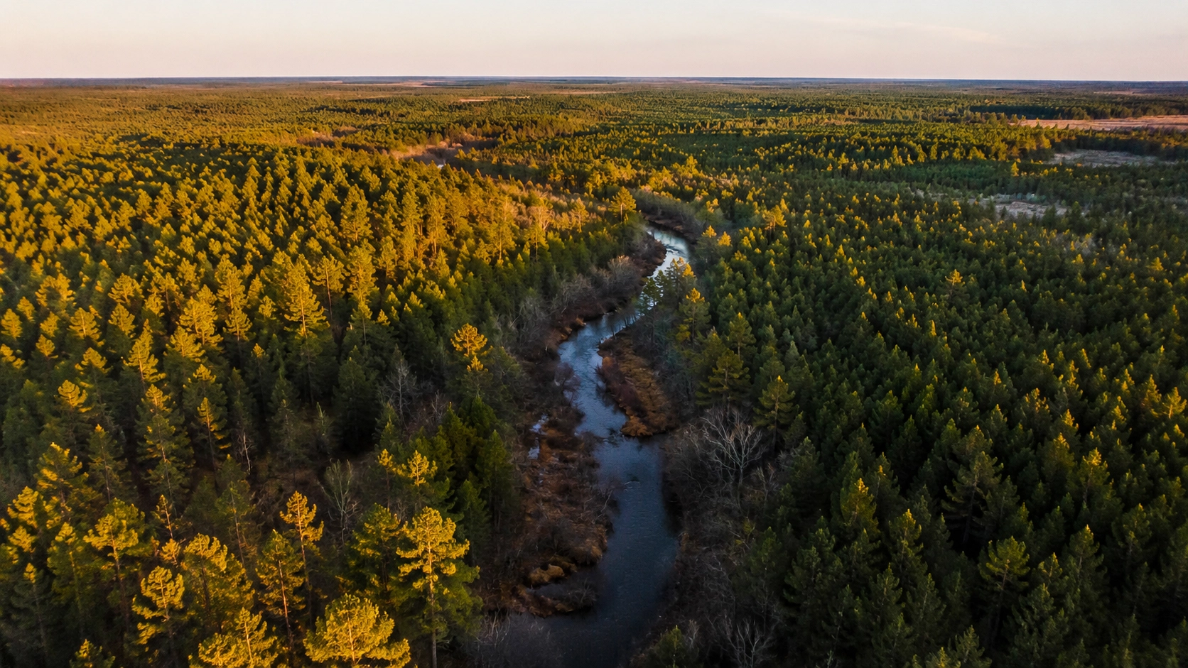 Texas vacant land for sale to direct cash buyer — east Texas pine, hill country, panhandle acreage